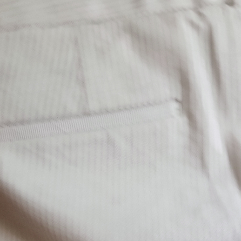 Banana Republic Cream With Black Pin Strip Pants, Classic Detailing - Picture 11 of 13